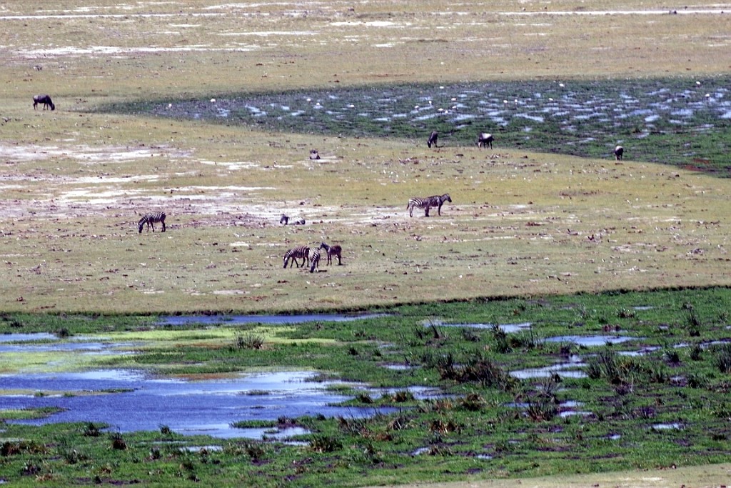 Kenia (227).jpg